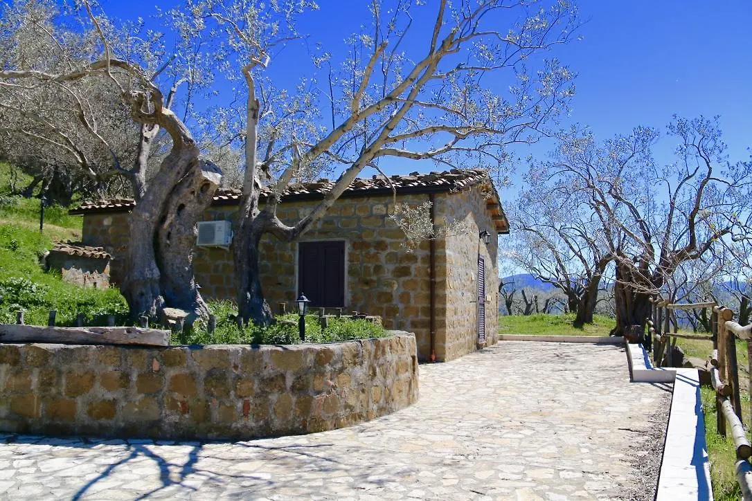 Il Giglio Villa Pettineo Farm stay