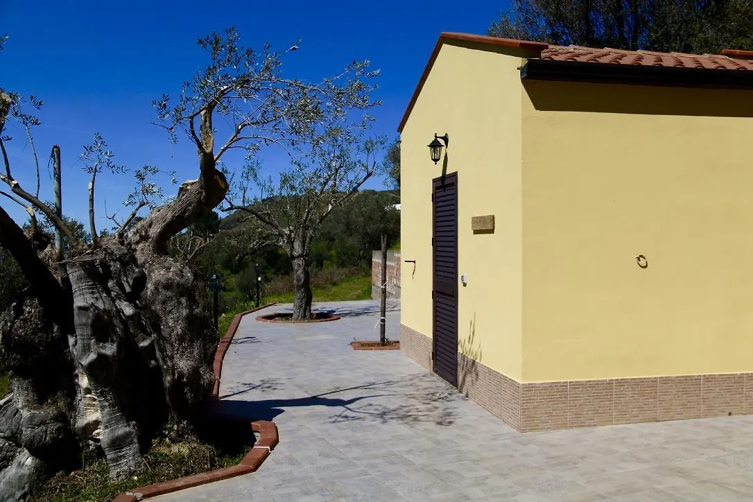 Il Giglio Villa Pettineo Farm stay